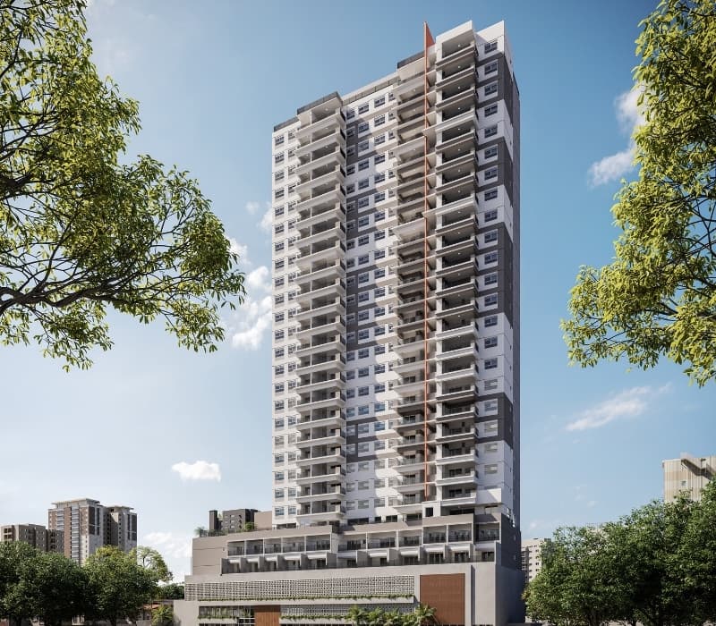 Yellow SP Jd. Guedala